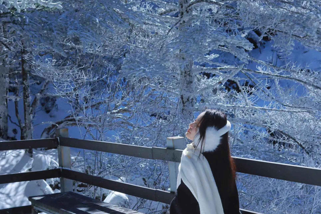 Tour Hà Khẩu - Côn Minh - Núi Tuyết Kiệu Tử Sơn 4 Ngày 4 Đêm