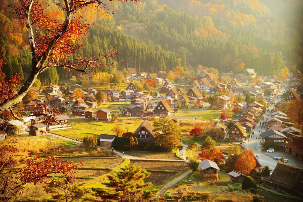 Tour Nhật Bản Mùa Thu: Cung Đường Làng Cổ Shirakawago
