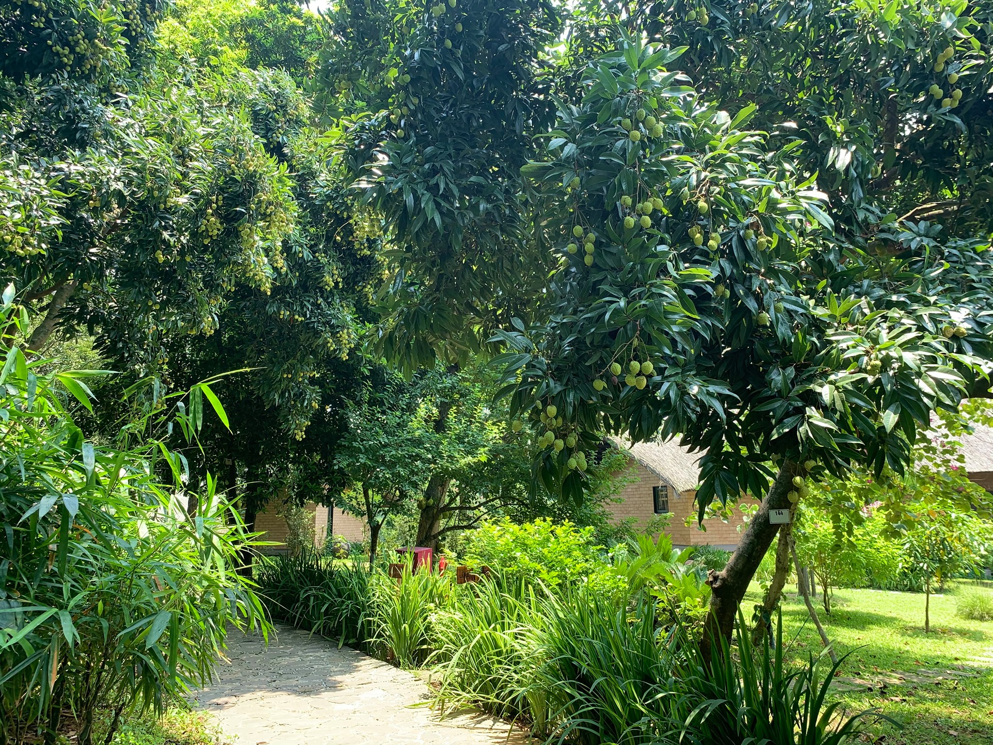 Tomodachi Retreat Làng Mít