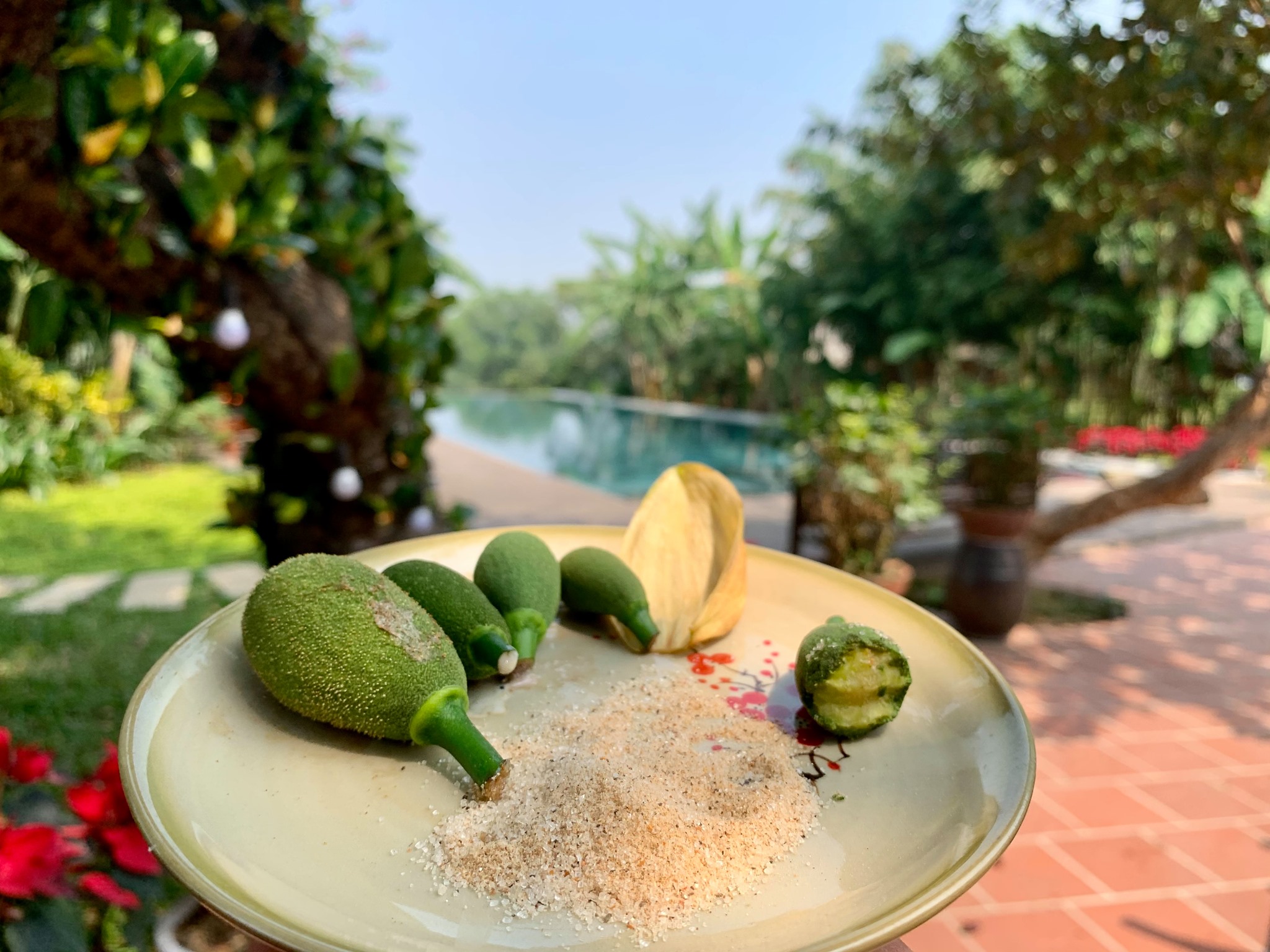 Tomodachi Retreat Làng Mít