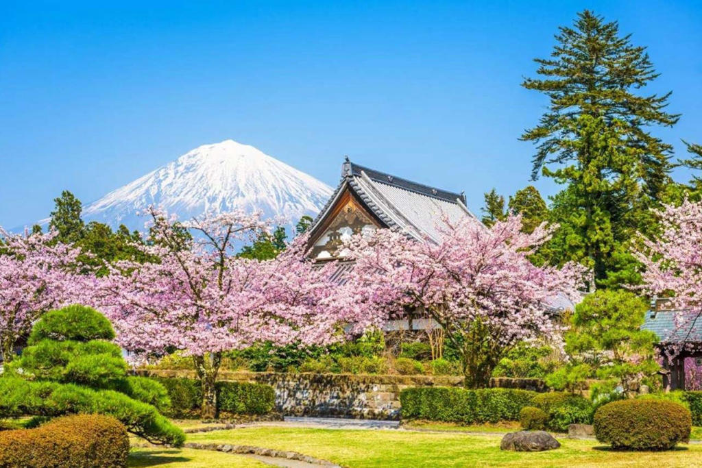 Tour Nhật Bản Hành Trình Vàng Mùa Hoa Anh Đào 6N5Đ