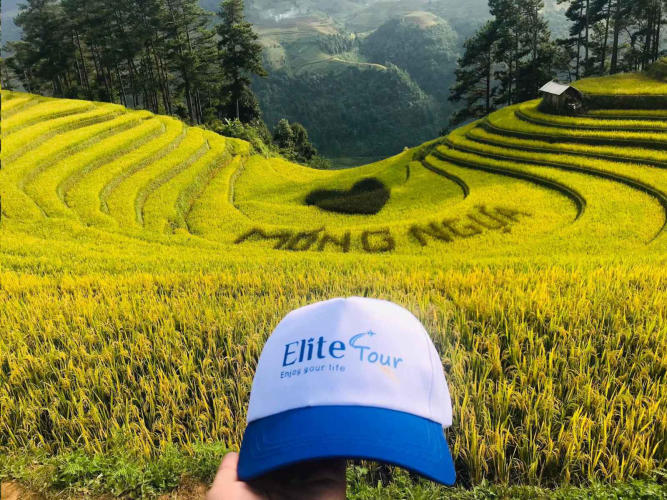 Tour Mù Cang Chải - Trạm Tấu - Bản Cu Vai Mùa Lúa Chín 3N2Đ