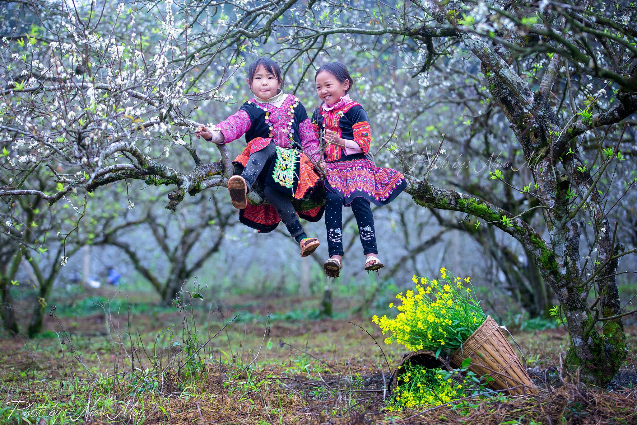 Tour Mai Châu - Mộc Châu 2N1Đ