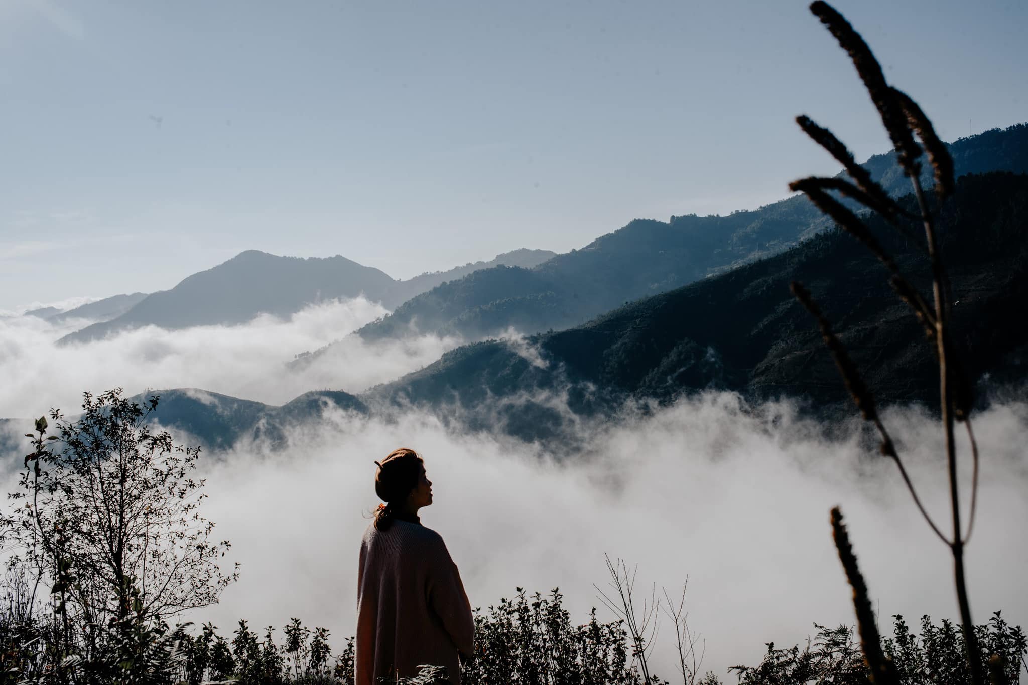 Tour Du Lịch Hà Nội - Mộc Châu Trọn Gói 2 Ngày 1 Đêm