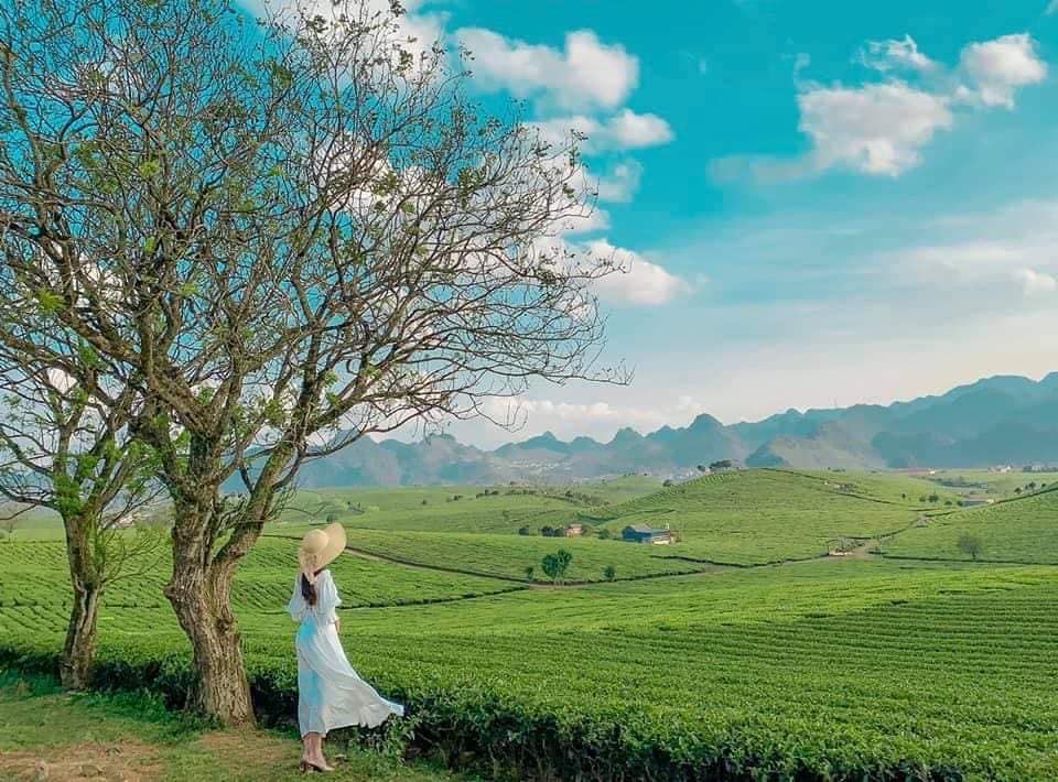 Tour Hà Nội - Mộc Châu - Tà Xùa 2 Ngày 1 Đêm