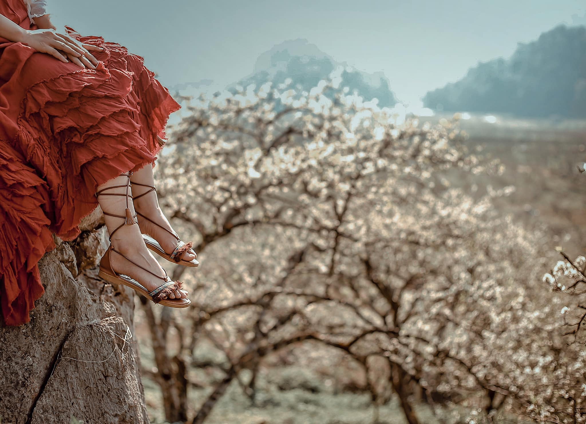 Tour Du Lịch Hà Nội - Mộc Châu Trọn Gói 2 Ngày 1 Đêm