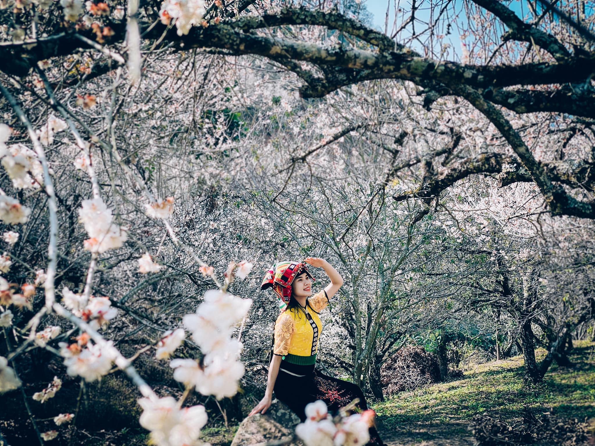 Tour Mai Châu - Mộc Châu 2N1Đ