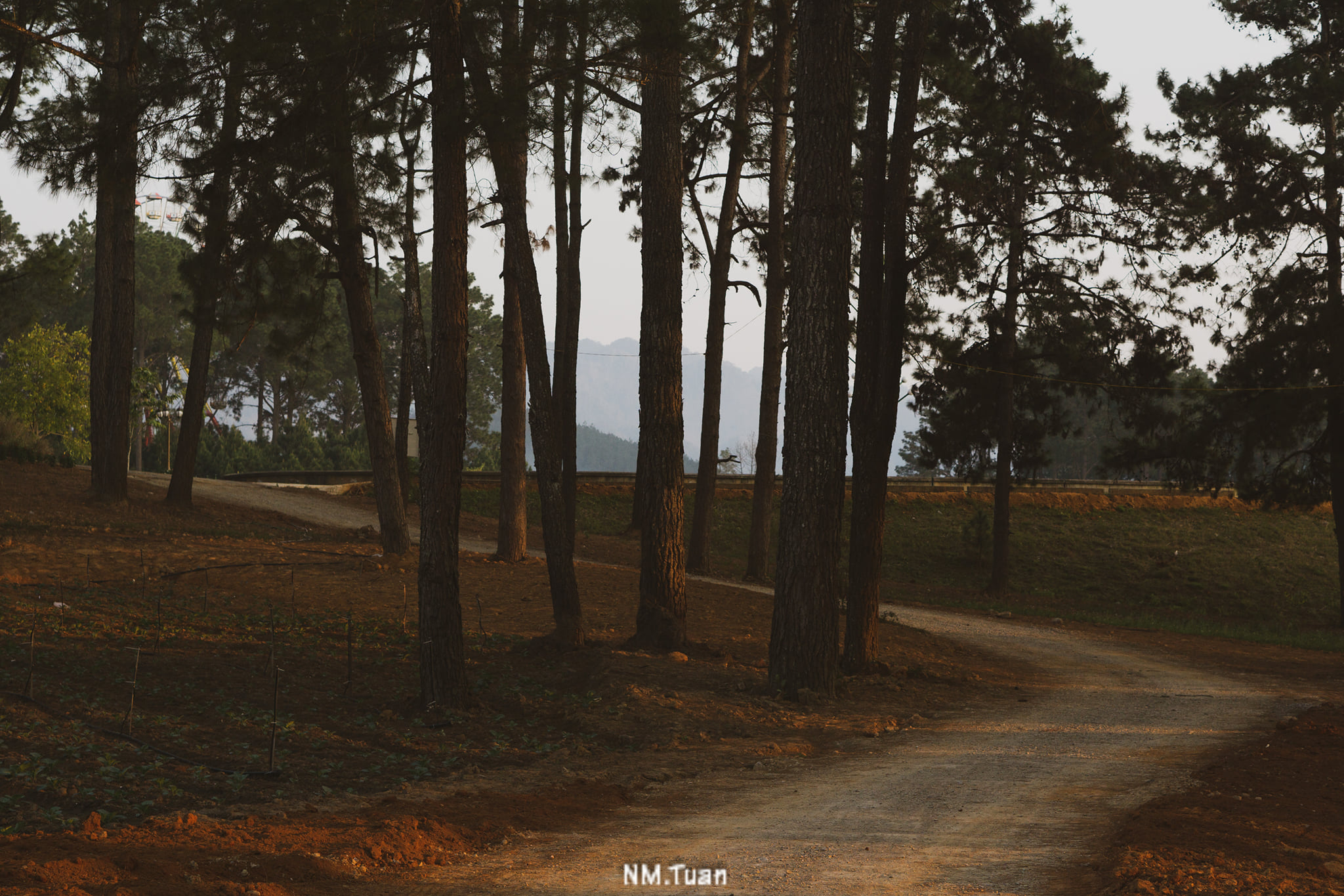 Tour Mai Châu - Mộc Châu 2N1Đ