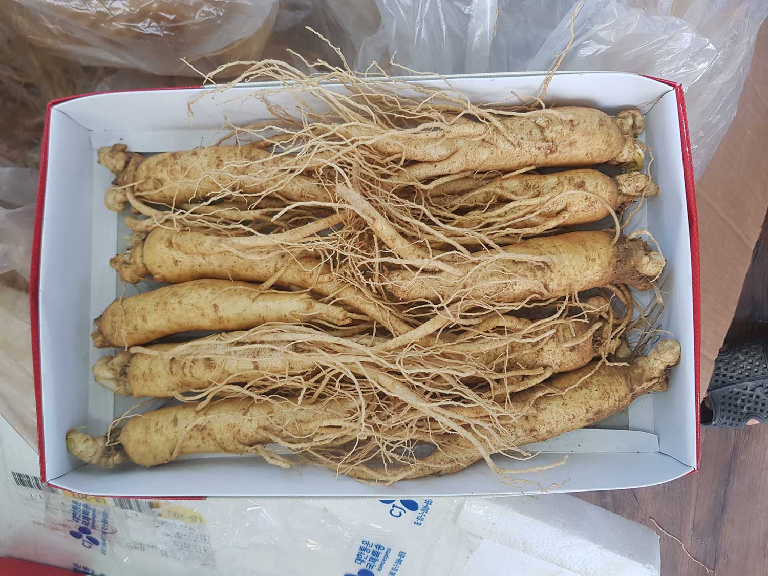 Tour Du Lịch Hàn Quốc 5 ngày 4 đêm từ Hà Nội