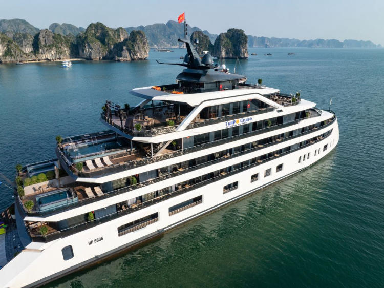 Du thuyền Tulip Cruise 5 sao vịnh Lan Hạ 2 ngày 1 đêm
