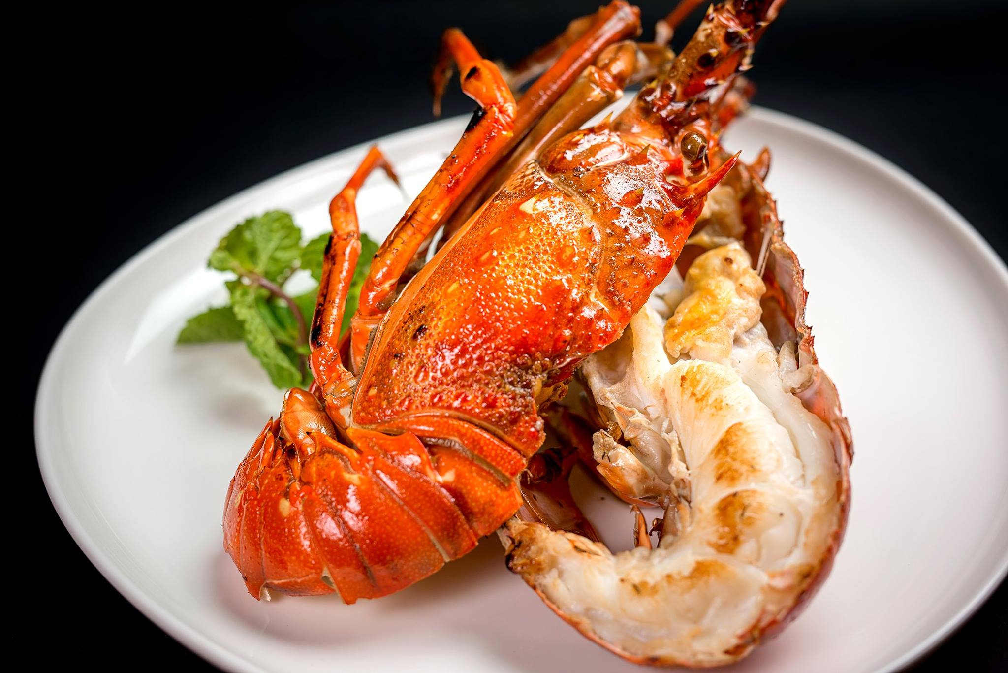 Nhà hàng du thuyền Paradise Delight Hạ Long 5 sao