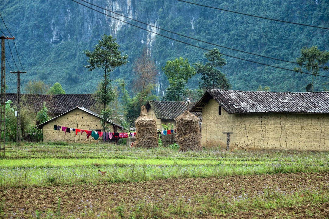 Tour Ngắm Lúa Chín: Sài Gòn - Hà Nội - Mù Cang Chải - Hà Giang 5N5Đ