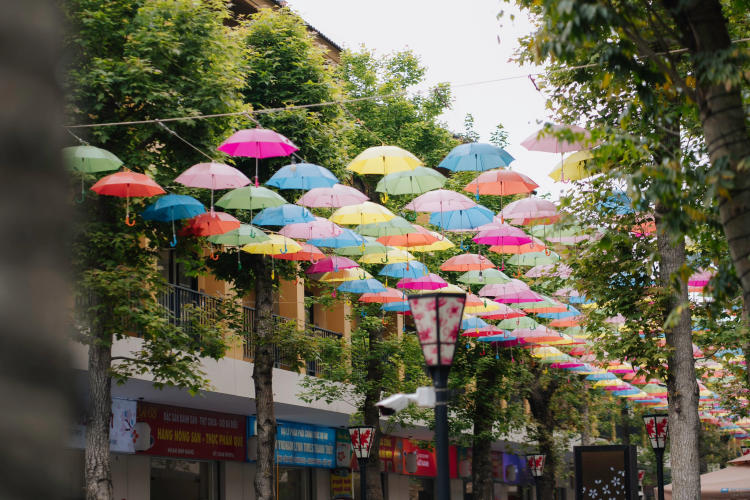 Wyndham Lynn Times Thanh Thuỷ