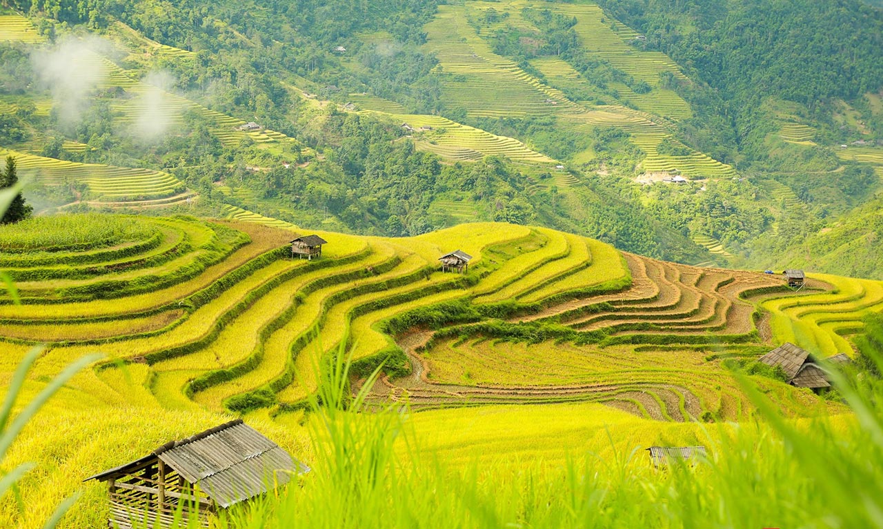 Tour Hoàng Su Phì - Simacai - Bắc Hà 3 Ngày 2 Đêm