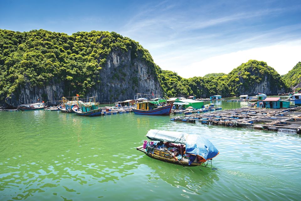 Du thuyền Sena Cruise 2 Ngày 1 Đêm