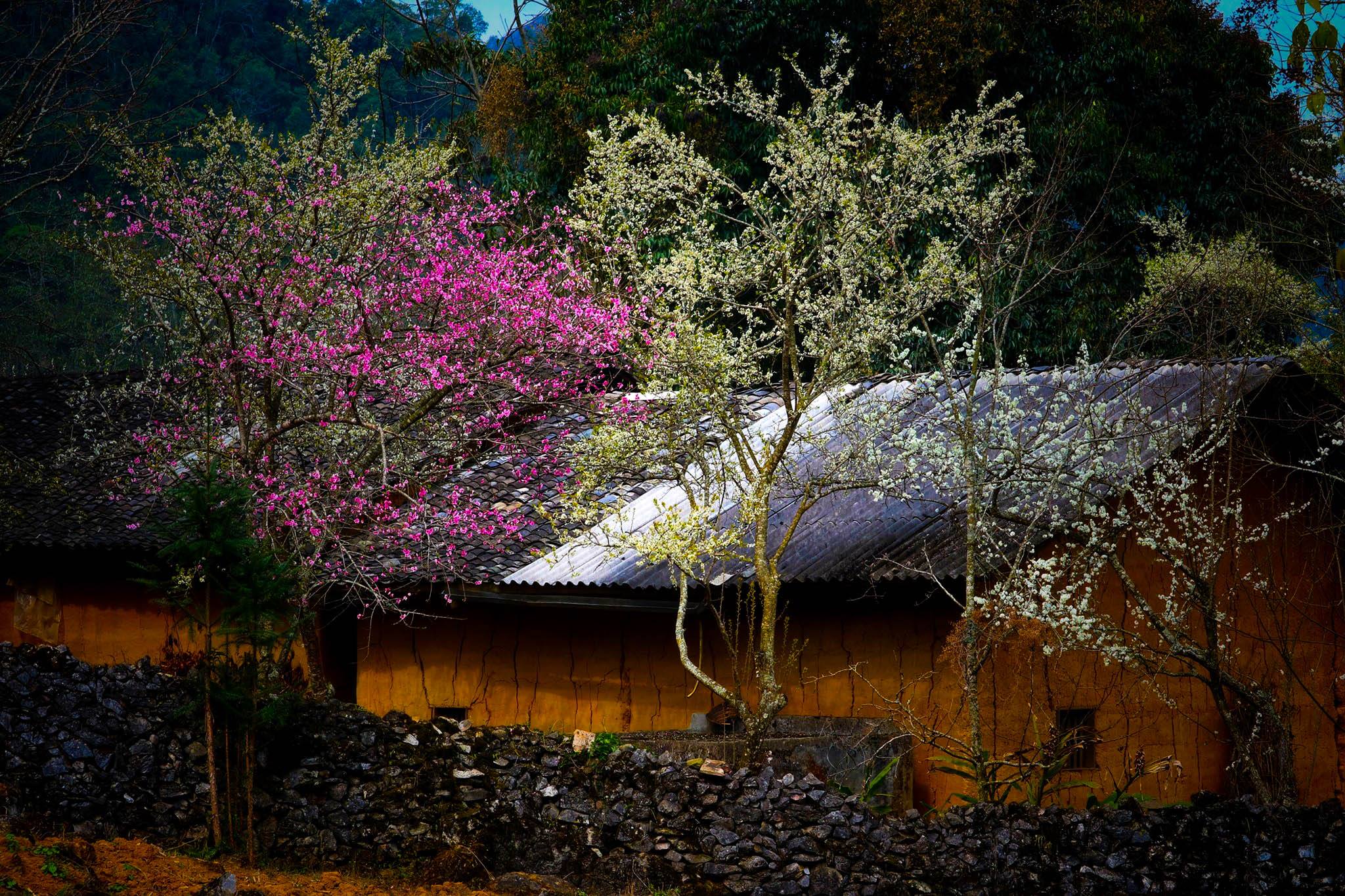 Tour Hà Giang - sông Nho Quế 2N3Đ