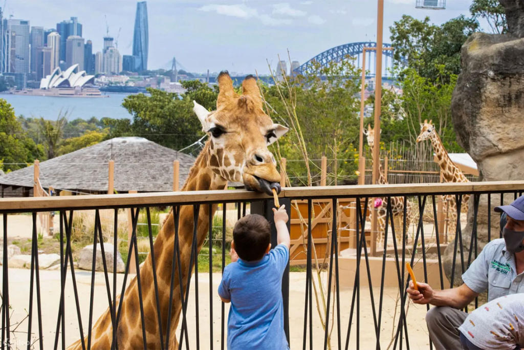 [Tour Tết] Tour Du Lịch Úc Tết 2025 8 Ngày 7 Đêm
