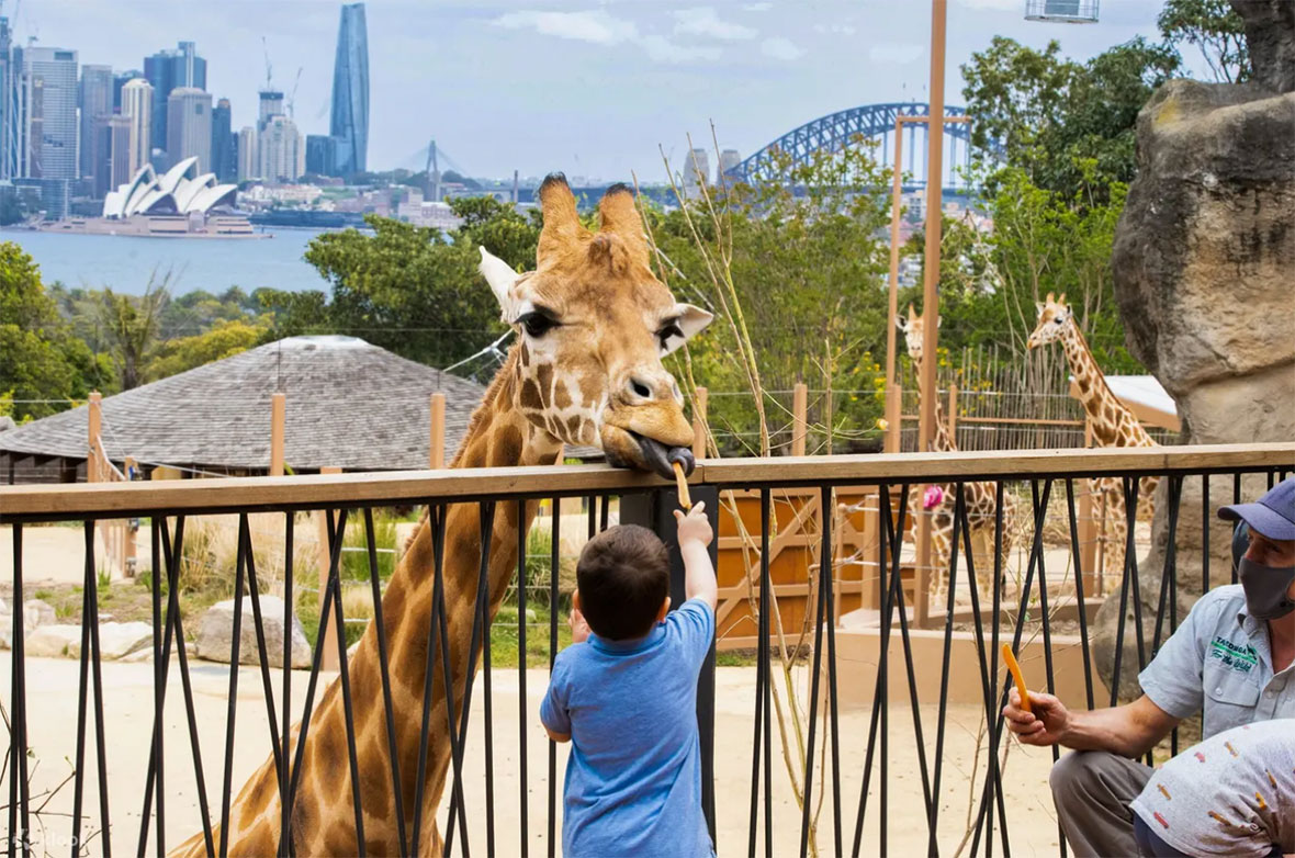 Tour Du Lịch Úc: Sydney - CanBerra - Melbourne 7 Ngày 6 Đêm