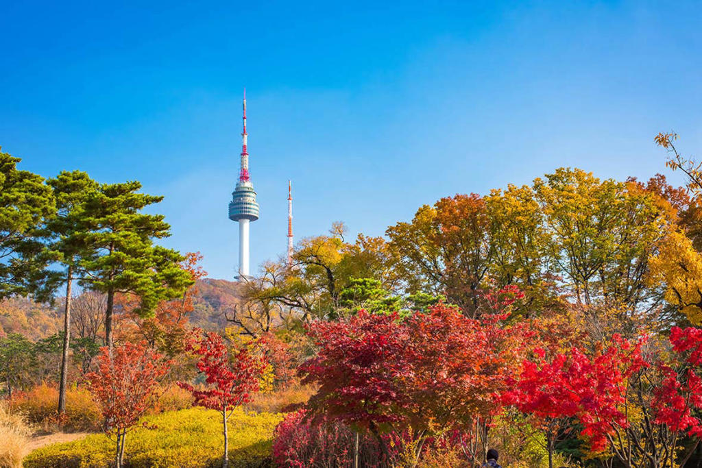 [TOUR TẾT] HÀ NỘI - SEOUL – NAMI – TRƯỢT TUYẾT – LÂU ĐÀI CỔ TÍCH LOTTE WORLD