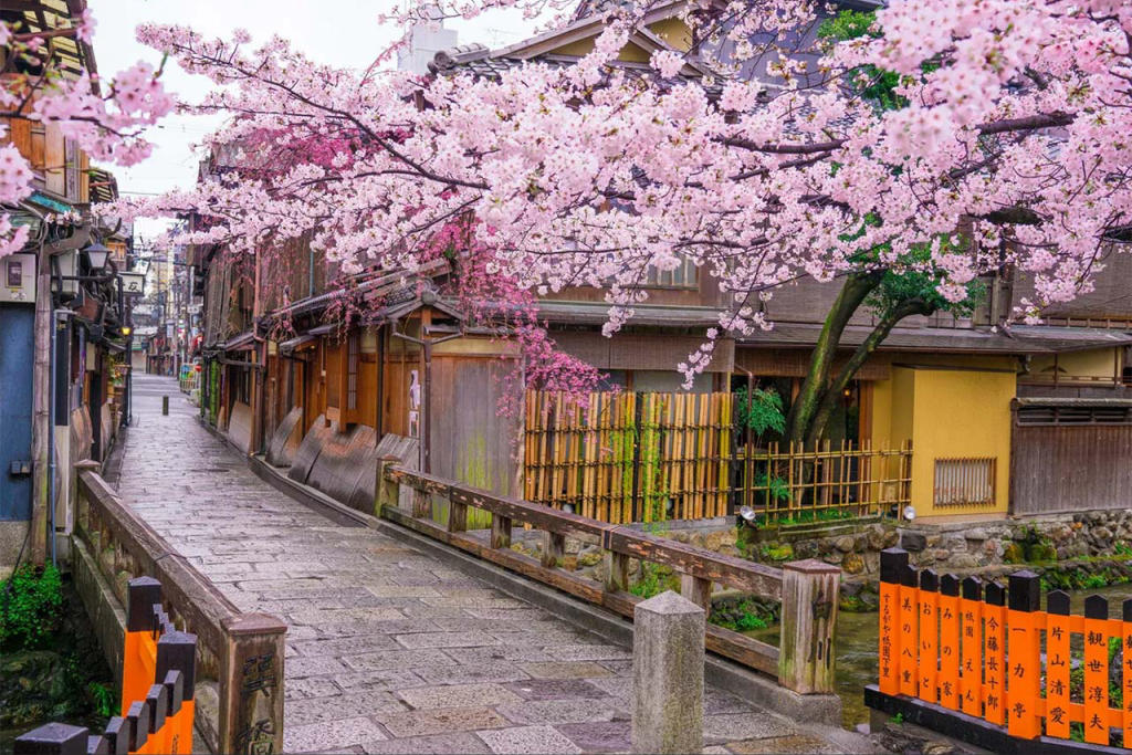 Tour làng cổ Shirakawago mùa hoa anh đào