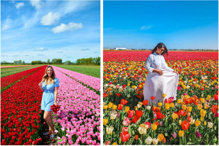 Tour Pháp - Bỉ - Hà Lan - Đức - Thụy Sĩ - Ý