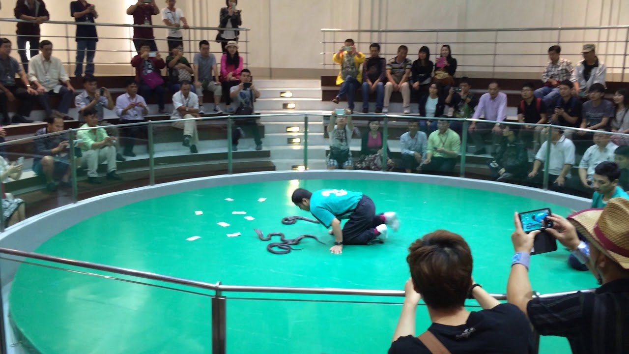 Tour Du Lịch Thái Lan Trọn Gói 4 Ngày 3 Đêm