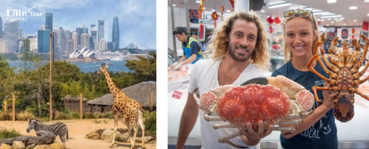 Tour Du Lịch Úc: Melbourne – Canberra – Sydney (7 Ngày 6 Đêm)