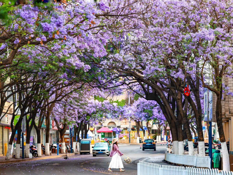 Tour Hà Khẩu - Côn Minh 4N3D Trượt tuyết mùa hè và tiệc cung yến