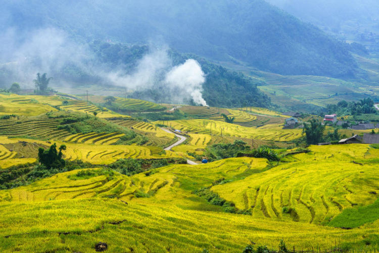 Tour Hà Nội – Y Tý 2 Ngày 1 Đêm: Săn Mây Ngải Thầu Và Ruộng Bậc Thang