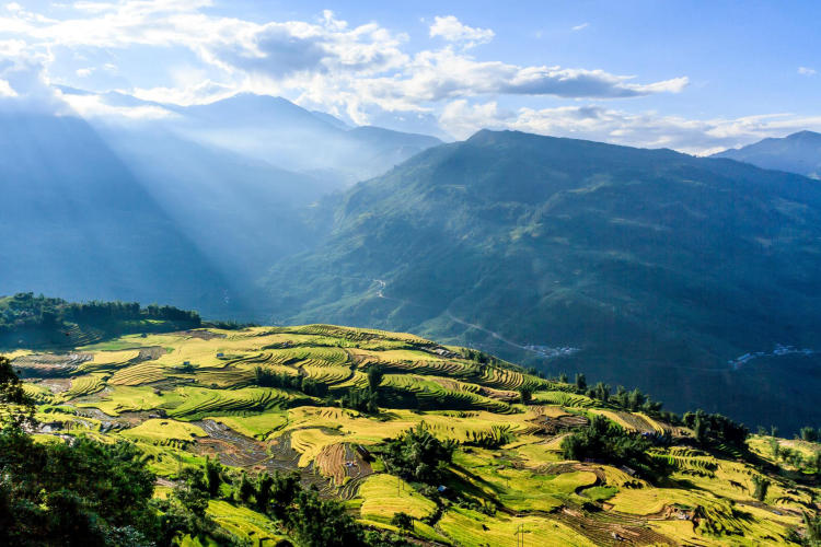 Tour Hà Nội – Y Tý 2 Ngày 1 Đêm: Săn Mây Ngải Thầu Và Ruộng Bậc Thang