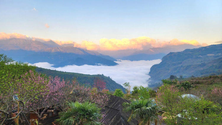 Tour Hà Nội – Y Tý 2 Ngày 1 Đêm: Săn Mây Ngải Thầu Và Ruộng Bậc Thang