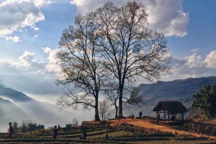 Tour Hà Nội – Y Tý 2 Ngày 1 Đêm: Săn Mây Ngải Thầu Và Ruộng Bậc Thang