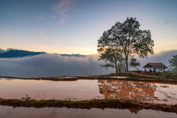 Tour Hà Nội – Y Tý 2 Ngày 1 Đêm: Săn Mây Ngải Thầu Và Ruộng Bậc Thang