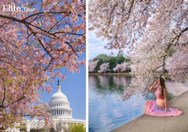 Tour Mỹ Liên Tuyến Đông Tây New York - Las Vegas - Los Angeles 12N11Đ