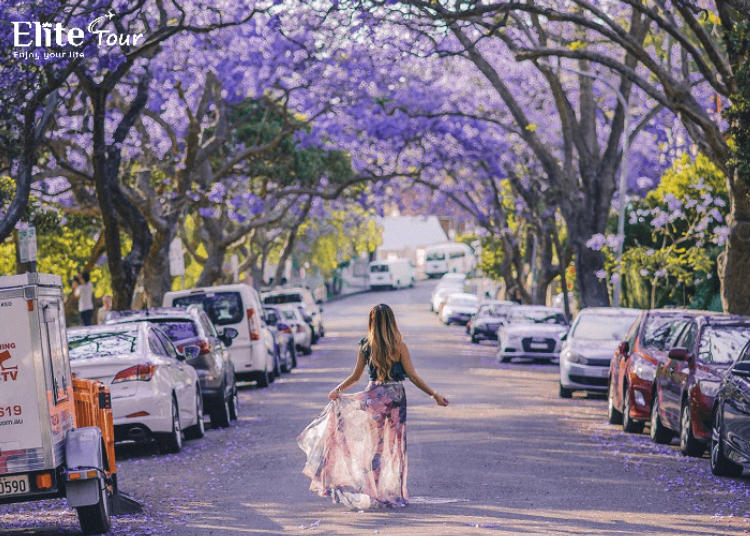 Tour Nam Phi Khám phá Huyền thoại Lục Địa Đen 9 ngày 7 đêm