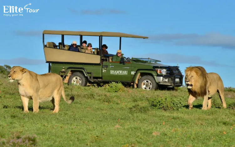 Tour Nam Phi Khám phá Huyền thoại Lục Địa Đen 9 ngày 7 đêm