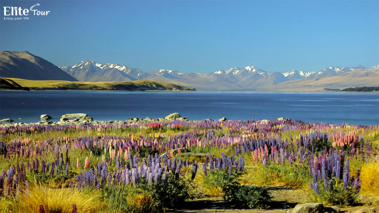 Tour New Zealand 9N8Đ: Auckland - Hobbiton - Queenstown - Đỉnh Núi Cook