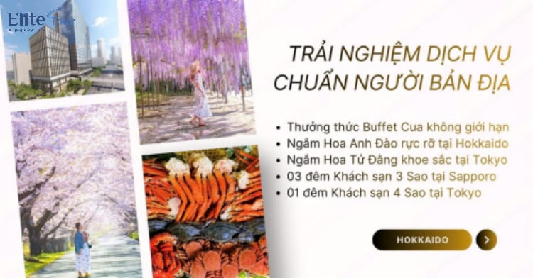 Tour Nhật Bản: Hokkaido - Tokyo ngắm hoa anh đào và tử đằng 6N5Đ