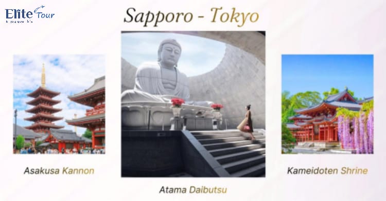 Tour Nhật Bản: Hokkaido - Tokyo ngắm hoa anh đào và tử đằng 6N5Đ