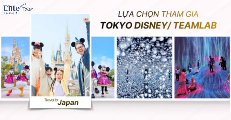 Tour Nhật Bản: Hokkaido - Tokyo ngắm hoa anh đào và tử đằng 6N5Đ