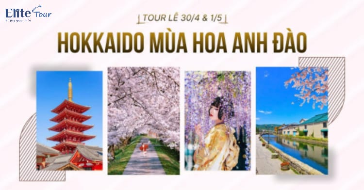 Tour Nhật Bản: Hokkaido - Tokyo ngắm hoa anh đào và tử đằng 6N5Đ