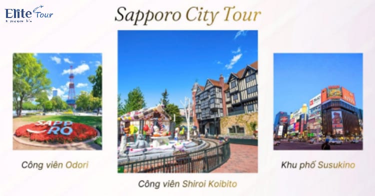 Tour Nhật Bản: Hokkaido - Tokyo ngắm hoa anh đào và tử đằng 6N5Đ