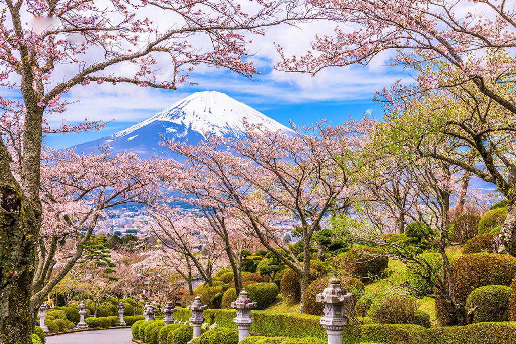 Tour Nhật Bản: Lễ Hội Hoa Anh Đào - Tulip 5 Ngày 4 Đêm