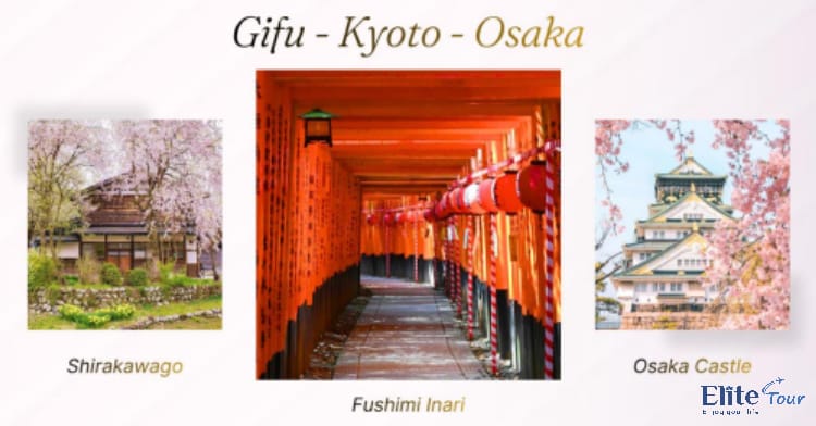 Tour Nhật Bản mùa hoa anh đào: Cung Đường Romantic 6N5Đ