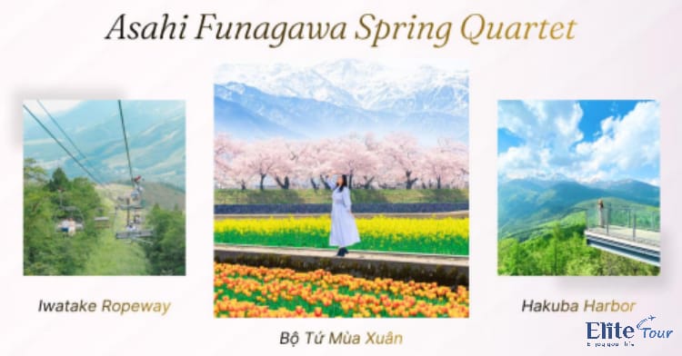 Tour Nhật Bản mùa hoa anh đào: Cung Đường Romantic 6N5Đ