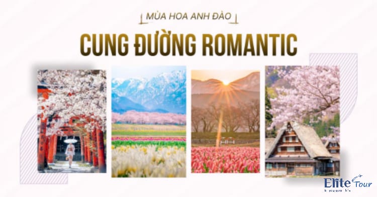 Tour Nhật Bản mùa hoa anh đào: Cung Đường Romantic 6N5Đ