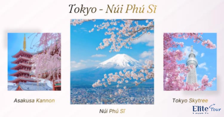 Tour Nhật Bản mùa hoa anh đào: Cung Đường Romantic 6N5Đ