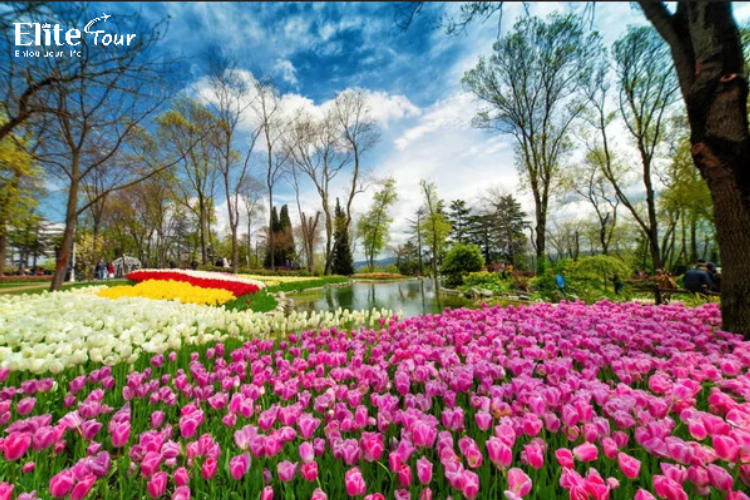 Tour Thổ Nhĩ Kỳ 8N7Đ Hành trình huyền thoại lưỡng lục địa