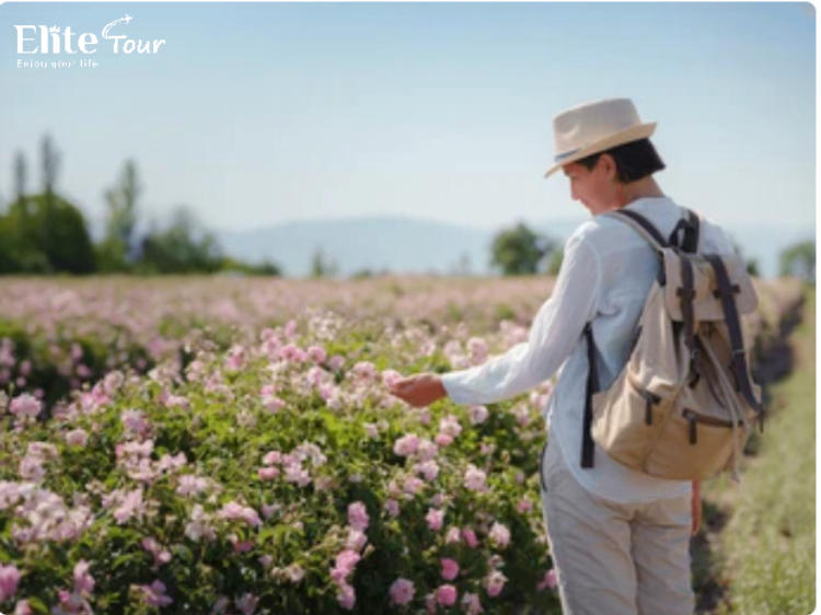 Tour Thổ Nhĩ Kỳ 8N7Đ Hành trình huyền thoại lưỡng lục địa