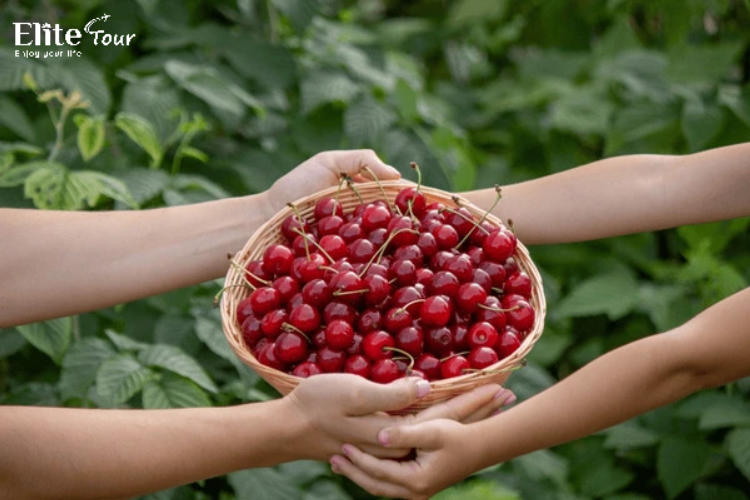 Tour Thổ Nhĩ Kỳ 8N7Đ Hành trình huyền thoại lưỡng lục địa